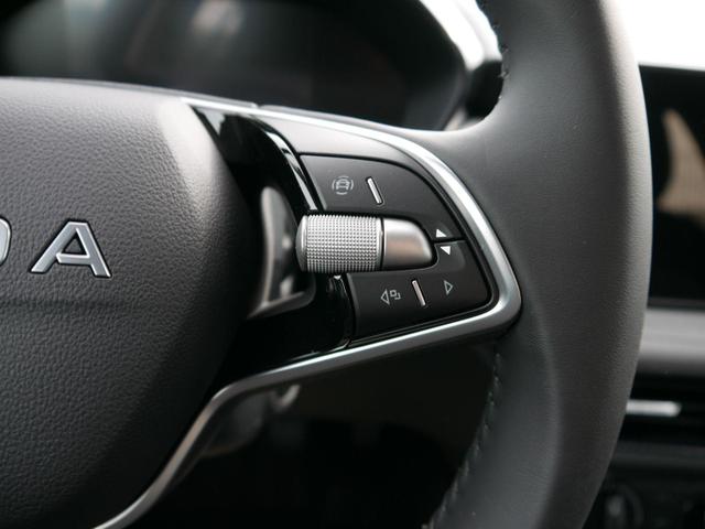 Skoda Fabia Ambition Comfort Plus 1.0 MPI *PDC HI.*LED*SHZ*DAB*KLIMA*LANE ASSIST*TEMPOMAT* 