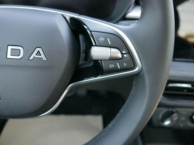 Skoda Fabia Ambition Comfort Plus 1.0 MPI *PDC HI.*LED*SHZ*DAB*KLIMA*LANE ASSIST*TEMPOMAT* 