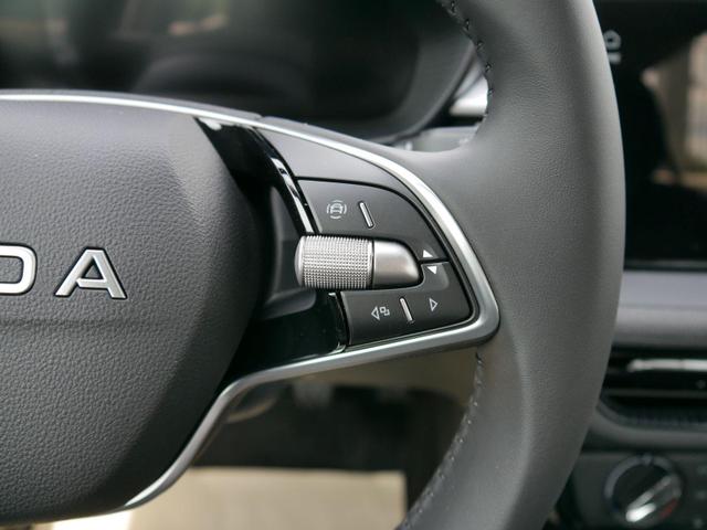 Skoda Fabia 130 Jahre Selection Plus 1,0 TSI *LED*PDC*SHZ*KAMERA*DIG-COCKPIT 
