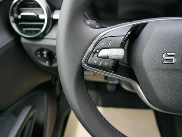 Skoda Fabia 130 Jahre Selection Plus 1,0 TSI *LED*PDC*SHZ*KAMERA*DIG-COCKPIT 