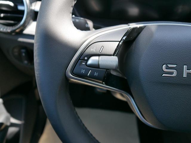 Skoda Fabia 130 Jahre 1,0 MPI *LED*PDC HI.*RFK*APP-CONNECT*SHZ*KESSY*KLIMA*DAB* 