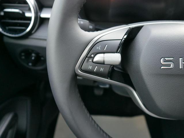 Skoda Fabia 130 Jahre 1,0 MPI*LED*PDC HI.*RFK*APP-CONNECT*SHZ*KESSY*KLIMA*DAB* 