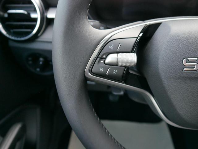 Skoda Fabia 130 Jahre 1,0 MPI*LED*PDC HI.*RFK*APP-CONNECT*SHZ*KESSY*KLIMA*DAB* 