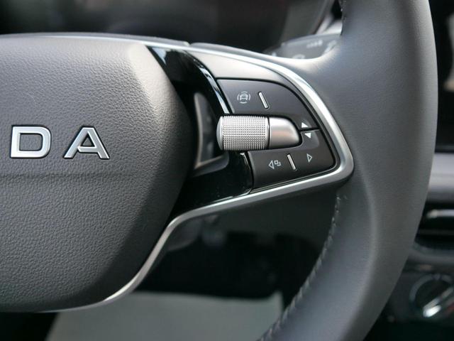 Skoda Fabia 130 Jahre 1,0 MPI*LED*PDC HI.*RFK*APP-CONNECT*SHZ*KESSY*KLIMA*DAB* 