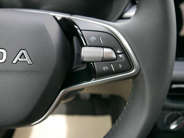 Skoda Fabia 130 Jahre Selection Plus 1,0 TSI*LED*PDC*SHZ*KAMERA*DIG-COCKPIT 