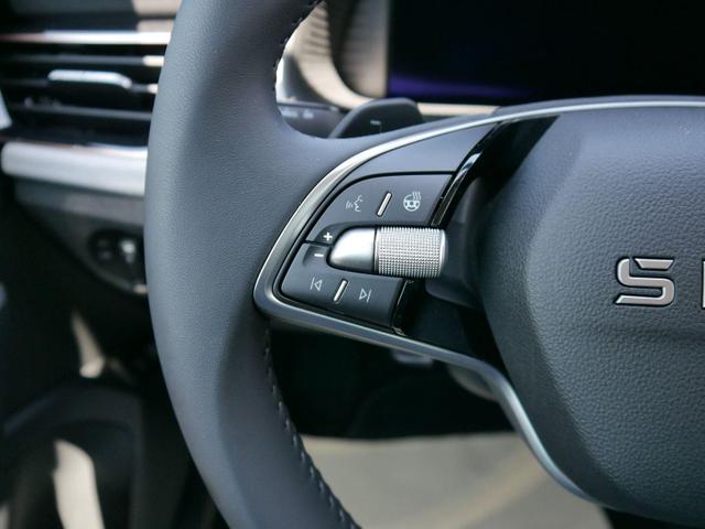 Skoda Kamiq 130 Jahre Premium Edition 1,5 TSI DSG*AHK-SCHWENKBAR*PDC*KAMERA*LED*TEMPOMAT 