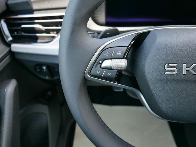 Skoda Kamiq 130 Jahre Premium Edition 1,5 TSI DSG*AHK-SCHWENKBAR*PDC*KAMERA*LED*TEMPOMAT 