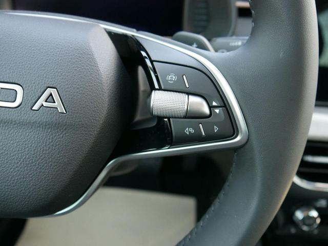 Skoda Kamiq 130 Jahre Premium Edition 1,5 TSI DSG*AHK-SCHWENKBAR*PDC*KAMERA*LED*TEMPOMAT 
