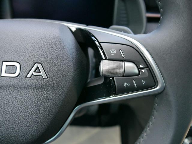 Skoda Kamiq 130 Jahre Premium Edition 1,5 TSI DSG*AHK-SCHWENKBAR*PDC*KAMERA*LED*TEMPOMAT 