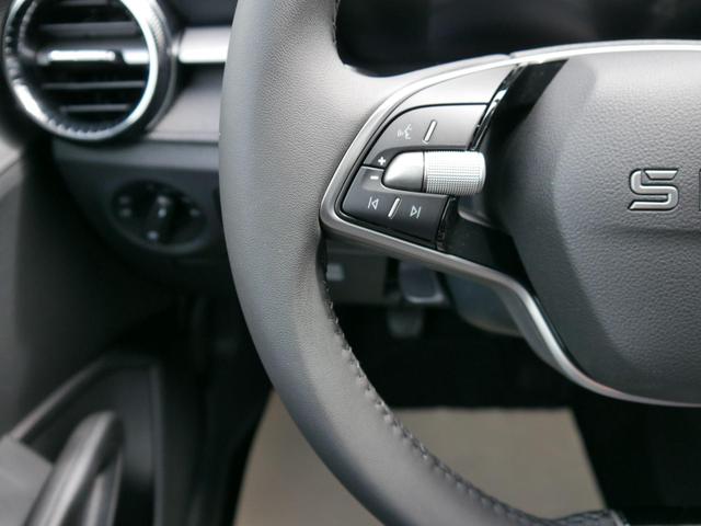 Skoda Fabia 130 Jahre 1,0 MPI*LED*PDC HI.*RFK*APP-CONNECT*SHZ*KESSY*KLIMA*DAB* 