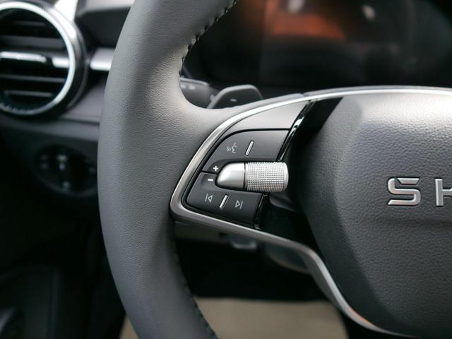 Skoda Fabia 130 Jahre Selection Plus 1,0 TSI DSG*SMARTLINK*PDC*KAMERA*LED*SHZ* 15 ZOLL 