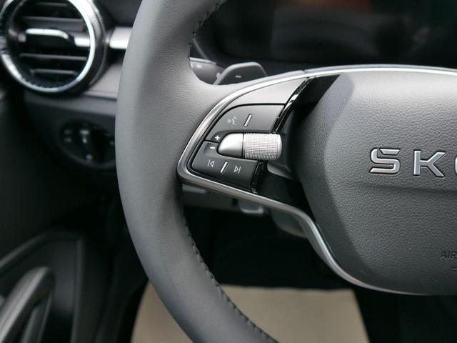 Skoda Fabia 130 Jahre Selection Plus 1,0 TSI DSG*SMARTLINK*PDC*KAMERA*LED*SHZ* 15 ZOLL 