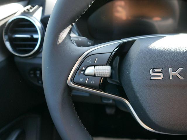 Skoda Fabia Edition 130 Jahre PREMIUN 1,0 TSI *SMARTLINK*PDC*KAMERA*LED*SHZ* 15 ZOLL 