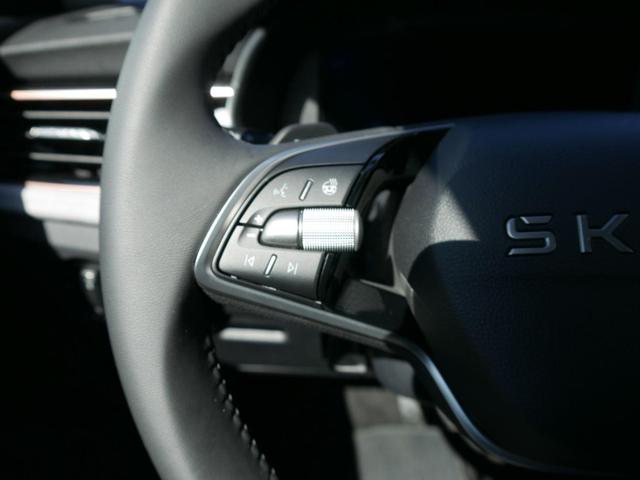 Skoda Kamiq 130 Jahre Premium Edition 1,5 TSI DSG*AHK-SCHWENKBAR*SMARTLINK*PDC*KAMERA*LED*TEMPOMAT 