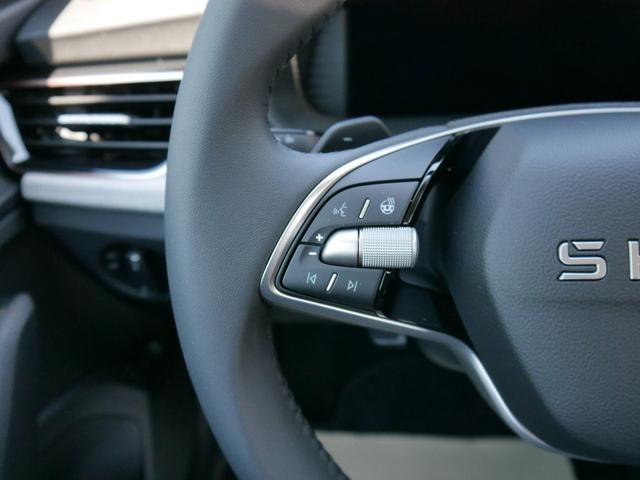 Skoda Kamiq 130 Jahre Premium Edition 1,5 TSI DSG*AHK-SCHWENKBAR*SMARTLINK*PDC*KAMERA*LED*TEMPOMAT 
