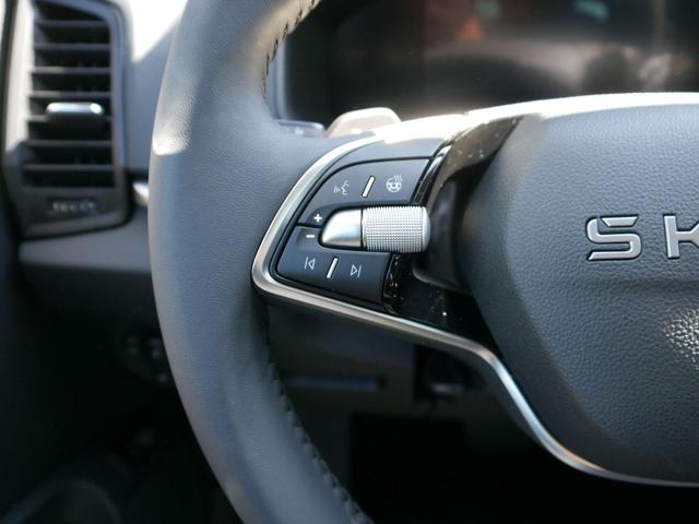 Karoq Edition Selection 130 Jahre 1,5 TSI DSG*LED*PDC*KAMERA*SHZ*NAVI-ÜBER-SMARTLINK 