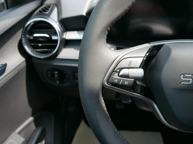Skoda Fabia 130 Jahre 1,0 MPI*LED*PDC HI.*KAMERA*APP-CONNECT*SHZ*KESSY*KLIMA*DAB* 