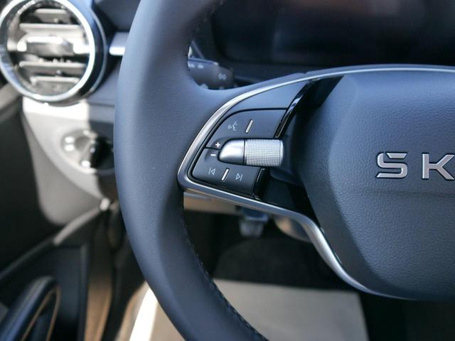 Skoda Fabia 130 Jahre 1,0 MPI*LED*PDC HI.*KAMERA*APP-CONNECT*SHZ*KESSY*KLIMA*DAB* 