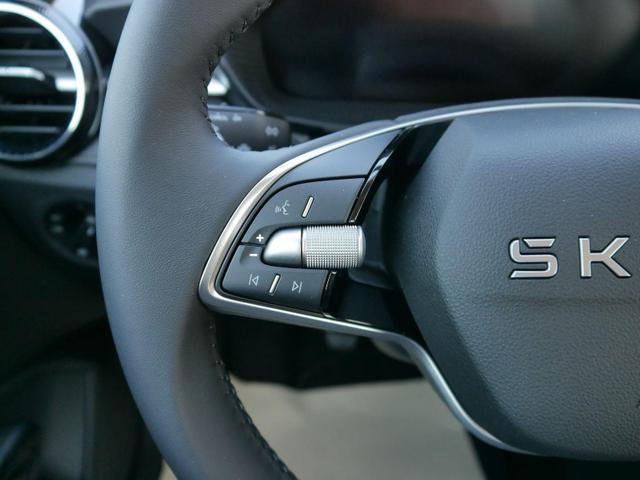 Skoda Fabia 130 Jahre 1,0 MPI*LED*PDC HI.*KAMERA*APP-CONNECT*SHZ*KESSY*KLIMA*DAB* 