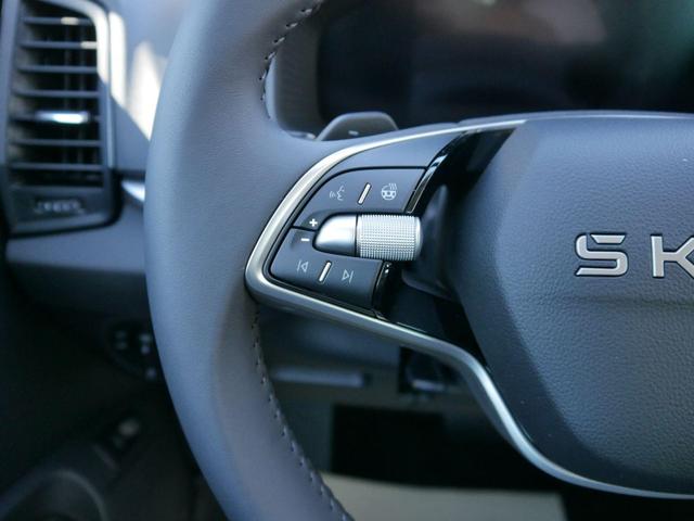 Skoda Karoq Edition Selection 130 Jahre 1,5 TSI DSG*NAVI-ÜBER-SMARTLINK*PDC*KAMERA*LED*SHZ*TEMPOMAT 