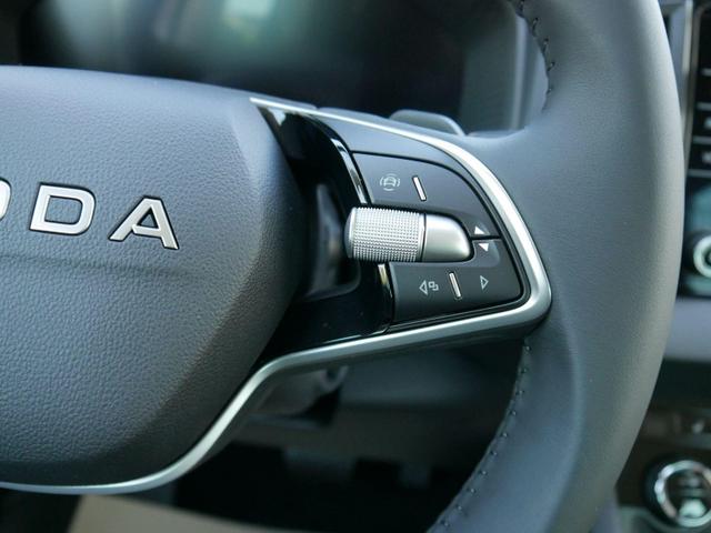Skoda Karoq Edition Selection 130 Jahre 1,5 TSI DSG*NAVI-ÜBER-SMARTLINK*PDC*KAMERA*LED*SHZ*TEMPOMAT 