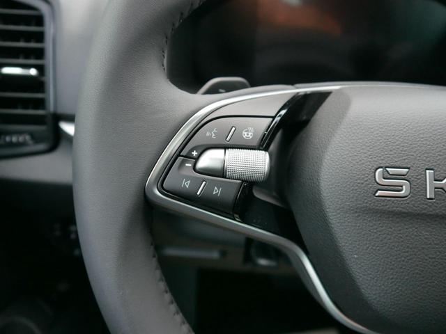 Skoda Karoq Edition Selection 130 Jahre 1,5 TSI DSG*NAVI-&Uuml;BER-SMARTLINK*PDC*KAMERA*LED*SHZ*TEMPOMAT 