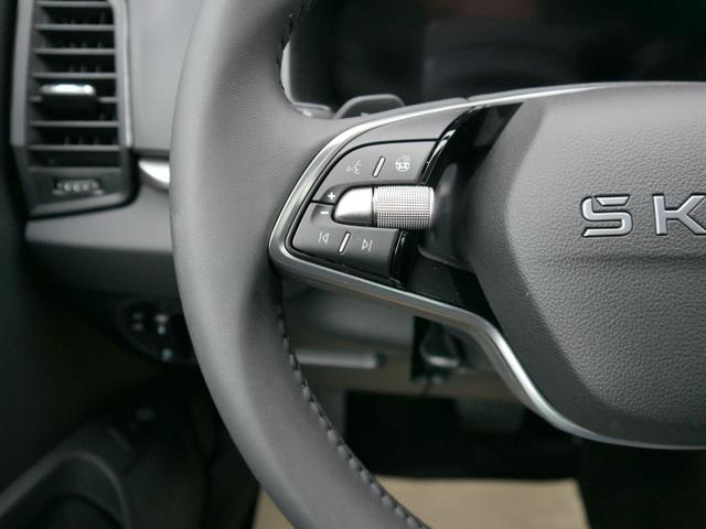 Skoda Karoq Edition Selection 130 Jahre 1,5 TSI DSG*NAVI-ÜBER-SMARTLINK*PDC*KAMERA*LED*SHZ*TEMPOMAT 
