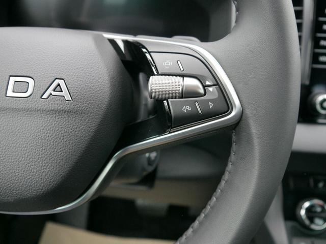 Skoda Karoq Edition Selection 130 Jahre 1,5 TSI DSG*NAVI-ÜBER-SMARTLINK*PDC*KAMERA*LED*SHZ*TEMPOMAT 