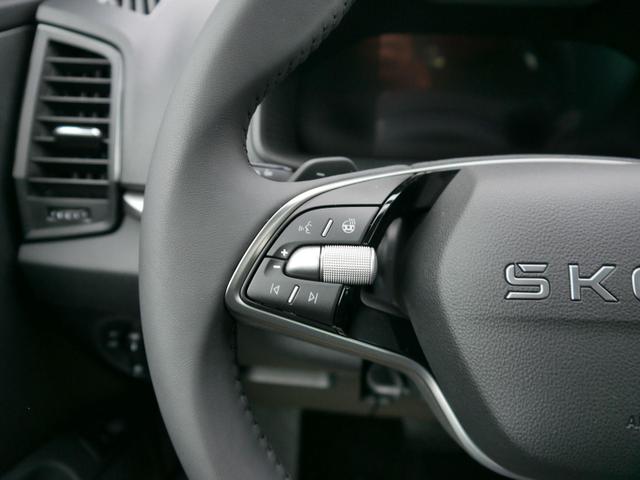 Skoda Karoq Edition Selection 130 Jahre 1,5 TSI DSG*NAVI-ÜBER-SMARTLINK*PDC*KAMERA*LED*SHZ*TEMPOMAT 