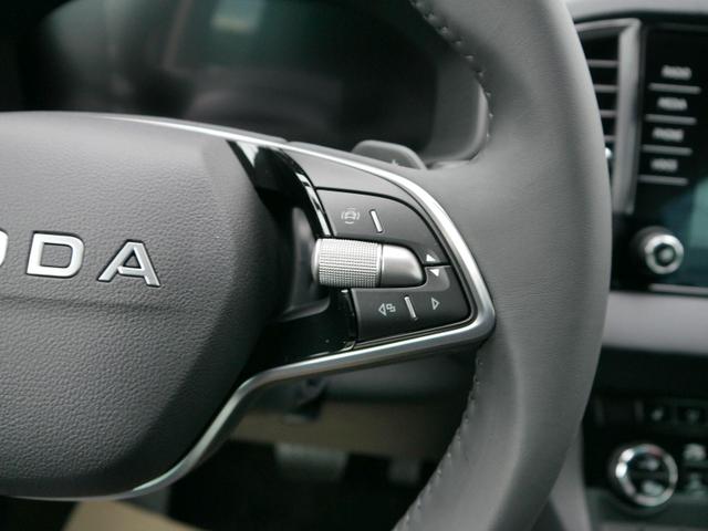 Skoda Karoq Edition Selection 130 Jahre 1,5 TSI DSG*NAVI-ÜBER-SMARTLINK*PDC*KAMERA*LED*SHZ*TEMPOMAT 