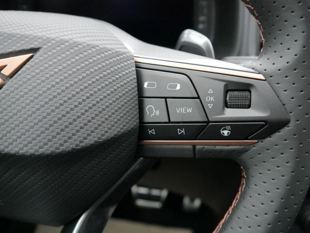 Cupra Ateca 2,0 TSI DSG 4x4*AHK-SCHWENKBAR*NAVI*PDC*KAMERA*ACC*SHZ*LED*TEMPOMAT*19-ZOLL 