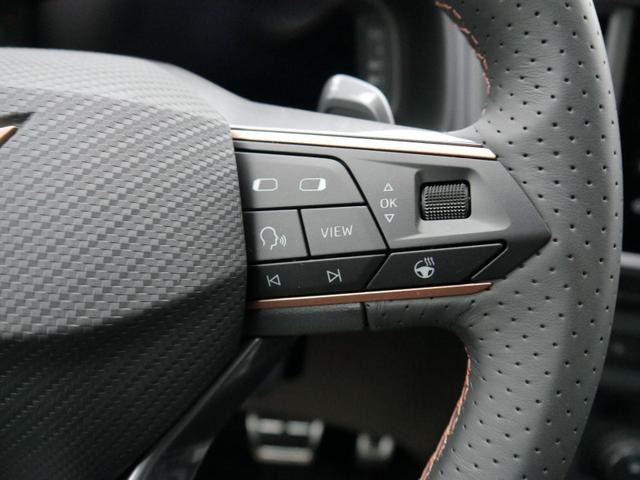 Cupra Ateca 2,0 TSI DSG 4x4*AHK-SCHWENKBAR*NAVI*PDC*KAMERA*ACC*SHZ*LED*TEMPOMAT*19-ZOLL 