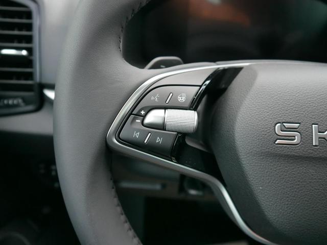 Skoda Karoq Edition Selection 130 Jahre 1,5 TSI DSG*NAVI-ÜBER-SMARTLINK*PDC*KAMERA*LED*SHZ*TEMPOMAT 