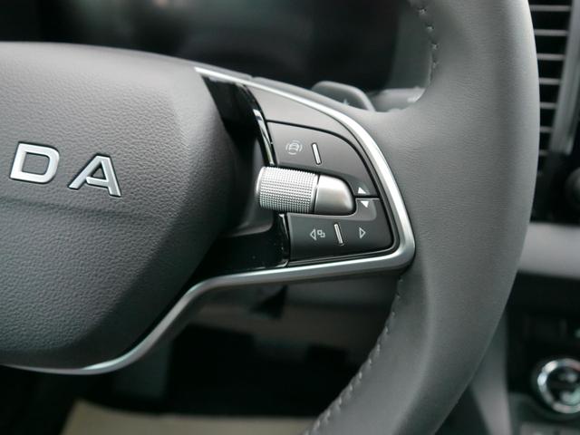 Skoda Karoq Edition Selection 130 Jahre 1,5 TSI DSG*NAVI-ÜBER-SMARTLINK*PDC*KAMERA*LED*SHZ*TEMPOMAT 