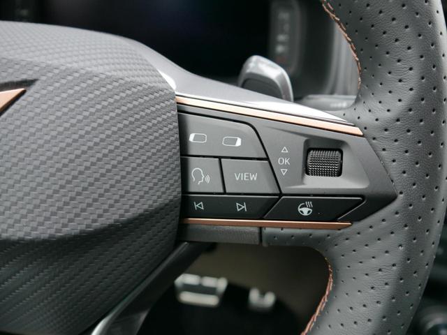 Cupra Ateca 2,0 TSI DSG 4x4*AHK-SCHWENKBAR*NAVI*PDC*KAMERA*ACC*SHZ*LED*TEMPOMAT*19-ZOLL 