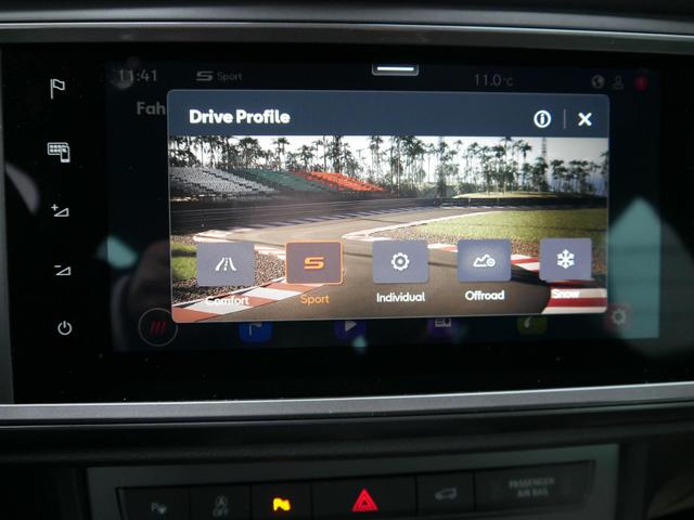 Cupra Ateca 2,0 TSI DSG 4x4*ACC*PDC*KAMERA*NAVI*LED*SHZ*AHK-SCHWENKBAR*19-ZOLL 