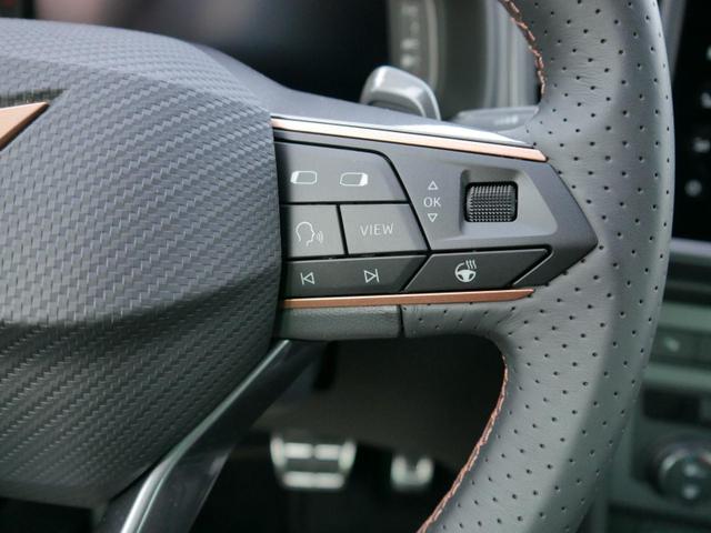 Cupra Ateca 2,0 TSI DSG 4x4*AHK-SCHWENKBAR*NAVI*PDC*KAMERA*ACC*SHZ*LED*TEMPOMAT*19-ZOLL 