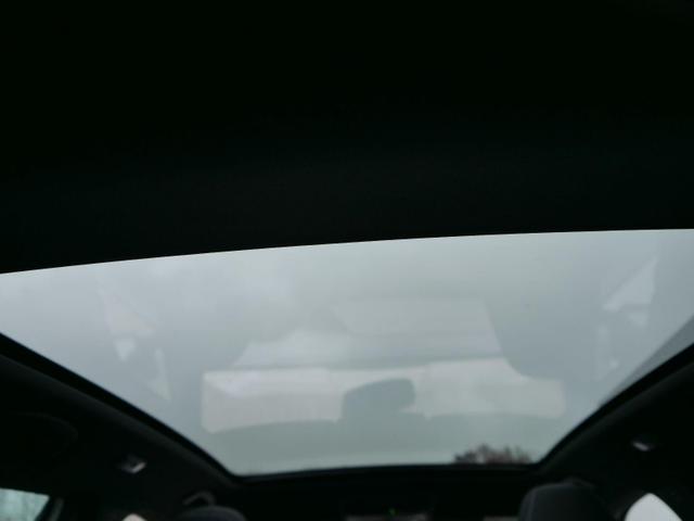 Skoda Kamiq Monte Carlo 1.5 TSI DSG*MATRIX-LED*SMARTLINK*PDC-HI*TEMPOMAT*SHZ*17-ZOLL 