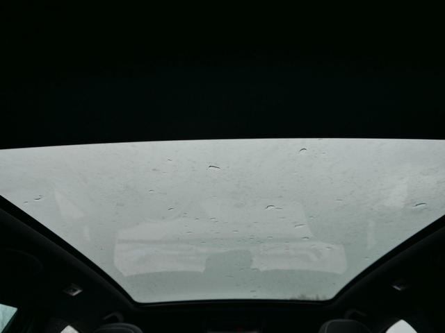 Skoda Kamiq Monte Carlo 1.5 TSI DSG*AHK-SCHWENKBAR*PDC-HI*LED*TEMPOMAT*SMARTLINK*SHZ 