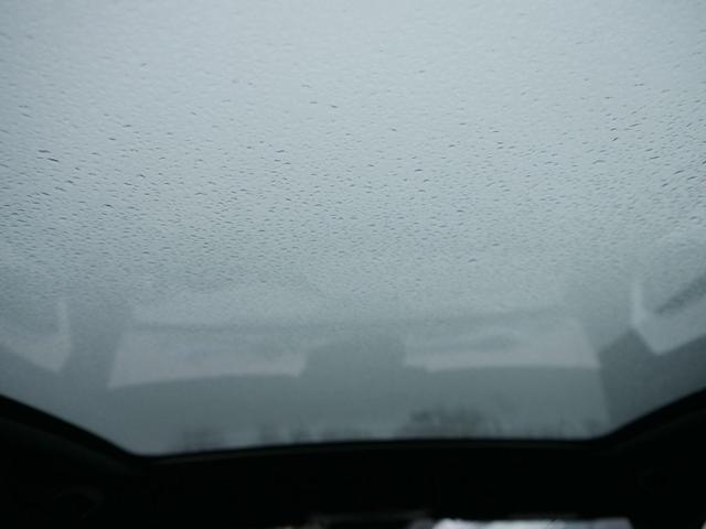 Skoda Kamiq Monte Carlo 1.5 TSI DSG*AHK-SCHWENKBAR*PDC-HI*LED*TEMPOMAT*SMARTLINK*SHZ 