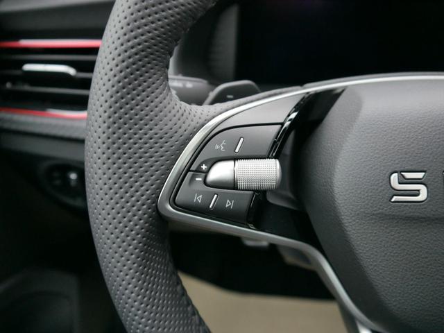 Skoda Kamiq Monte Carlo 1.5 TSI DSG*AHK-SCHWENKBAR*PDC-HI*LED*TEMPOMAT*SMARTLINK*SHZ 