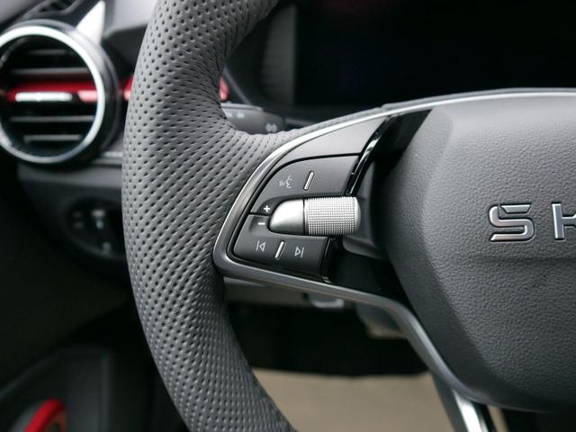 Skoda Fabia Monte Carlo 1.0 TSI DSG*PDC-HI*LED*SHZ*NAVI-ÜBER-SMARTLINK*KLIMA*BLUETOOTH*16-ZOLL 