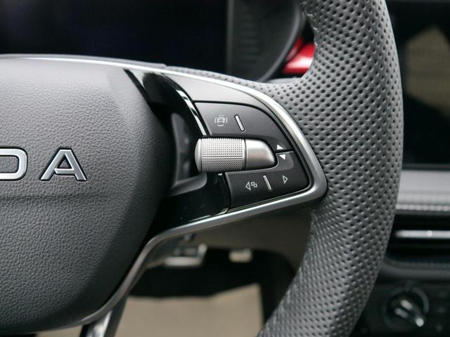 Skoda Fabia Monte Carlo 1.0 TSI DSG*PDC-HI*LED*SHZ*NAVI-ÜBER-SMARTLINK*KLIMA*BLUETOOTH*16-ZOLL 