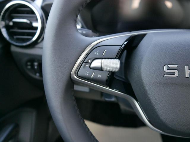 Fabia Selection 1.0 TSI DSG*NAVI-&Uuml;BER-SMARTLINK*LED*PDC-HI*SHZ*DAB*KLIMA 