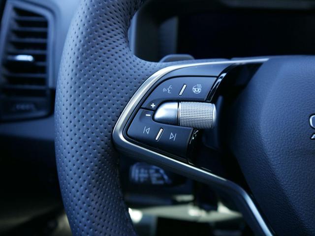 Skoda Karoq Sportline 2.0 TSI 4x4 DSG*AHK*ACC*PDC-HI*LED*SHZ*TEMPOMAT*SMARTLINK 