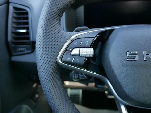 Skoda Karoq Sportline 2.0 TSI 4x4 DSG DSG*KESSY*TEMPOMAT*PDC-HINTEN*SMARTLINK*LED* 