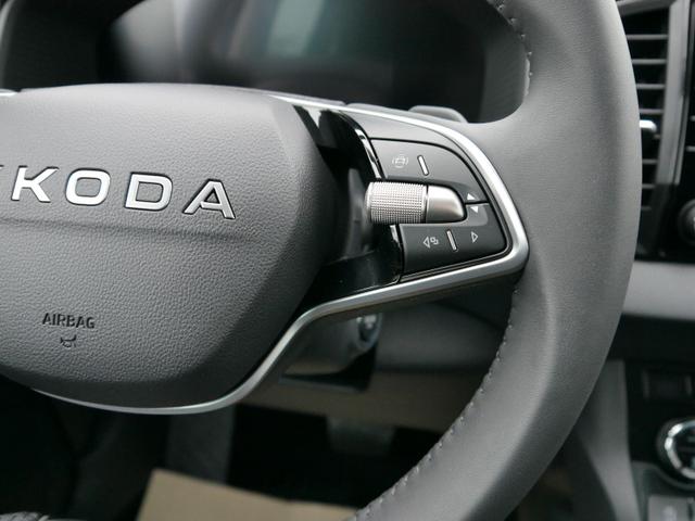 Skoda Karoq Selection 2.0 TDI DSG 4x4*AHK*PDC-HI*LED*SHZ*SMARTLINK*TEMPOMAT 