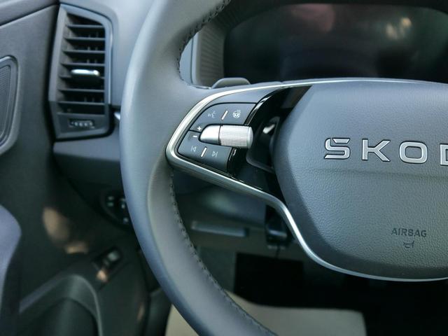 Skoda Karoq Selection 1.5 TSI DSG DSG*AHK-SCHWENKBAR*SMARTLINK*TEMPOMAT*PDC-HINTEN*LENKRADHEIZUNG* 