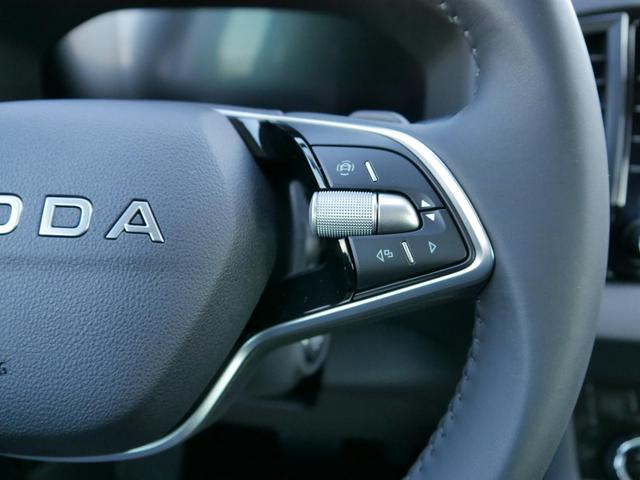 Skoda Karoq Selection 130 Jahre Edition 1,5 TSI DSG*NAVI-&Uuml;BER-SMARTLINK*PDC*KAMERA*LED*SHZ*TEMPOMAT 