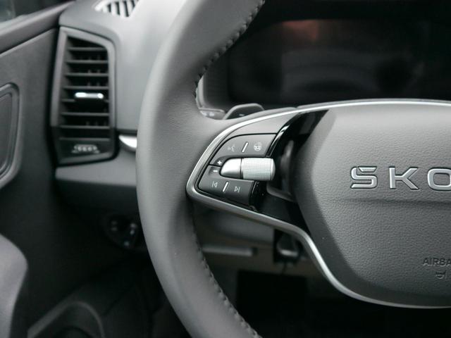 Skoda Karoq Selection 2.0 TDI DSG 4x4*AHK*PDC-HI*LED*SHZ*SMARTLINK*TEMPOMAT 